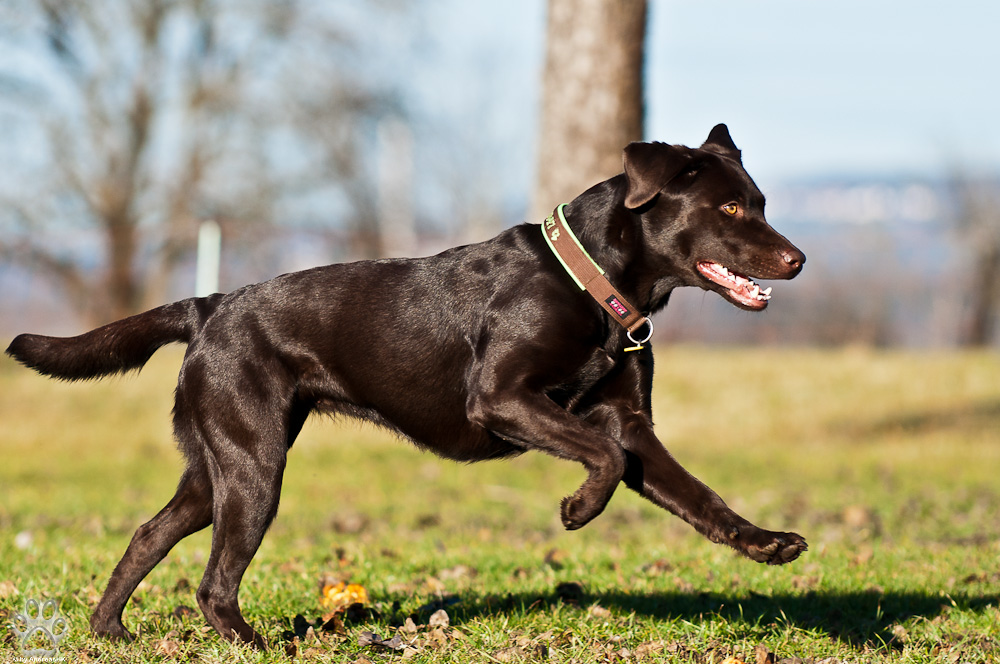 20120103 DSC 7467