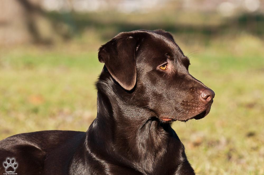 20120103 DSC 7525