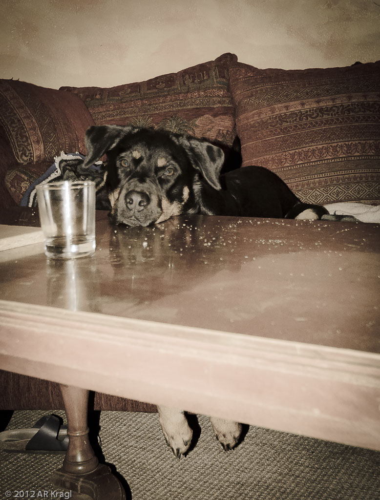 20120218Paula 0730