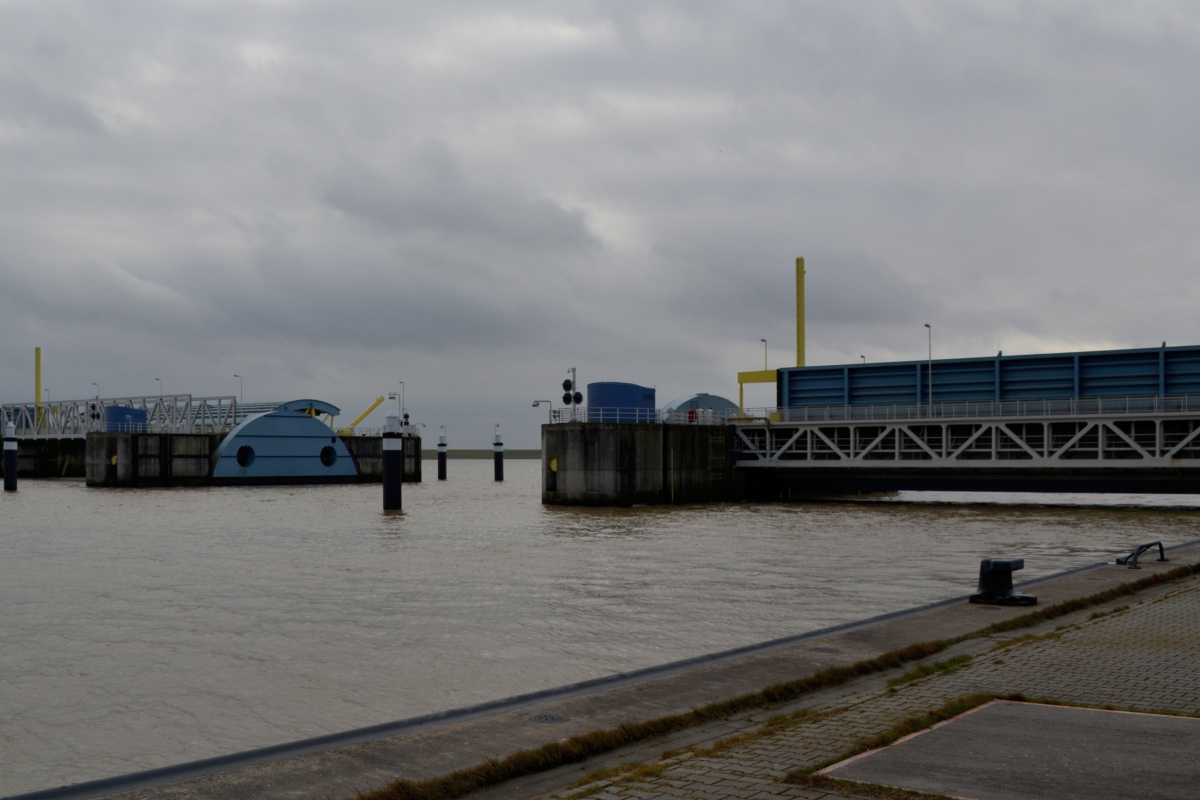 20120311_162953_nf.jpg