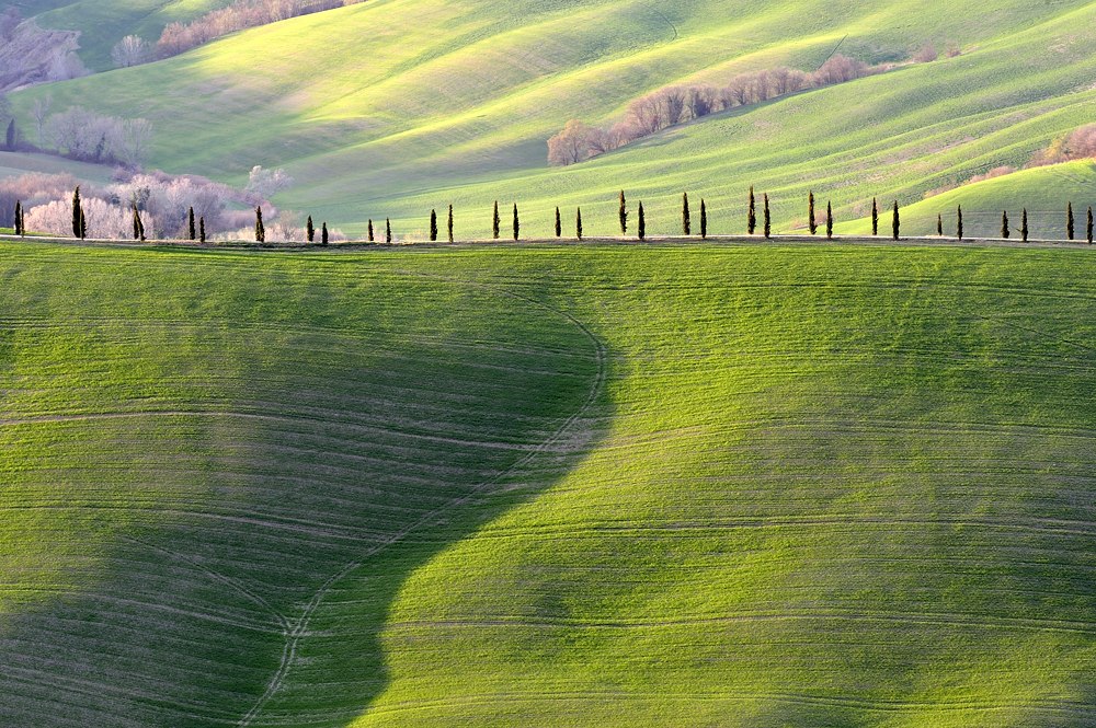 2012031917460994