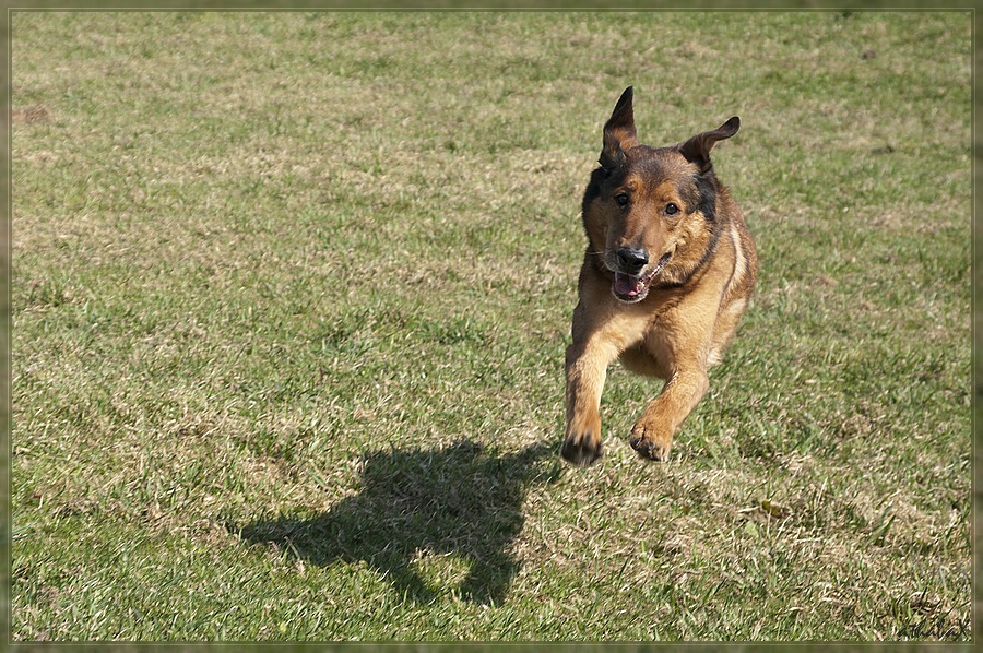 20120326 0321130 1 2 comp