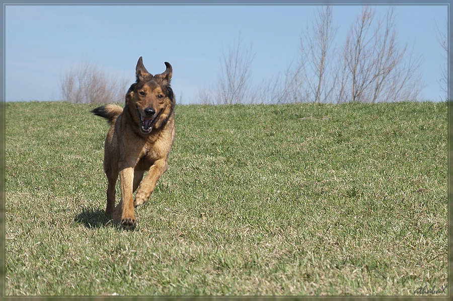 20120326 0321139 1 2 comp