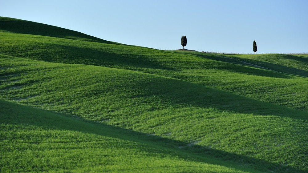 2012032818254425