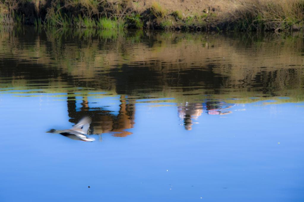 20120401 1515 DSC 3246 cl