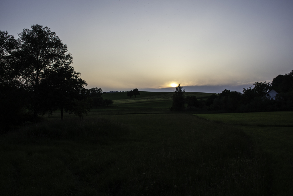 20120601 DSC 0415 2