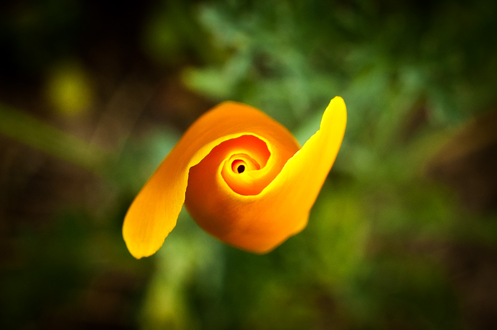 20120613  DSC7439
