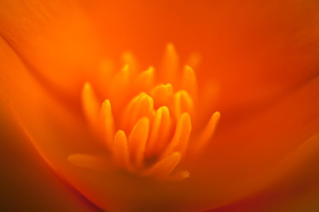 20120613  DSC7472