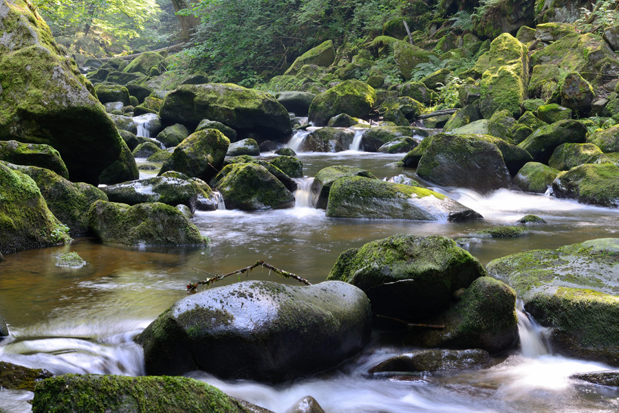 20120620 110012 web
