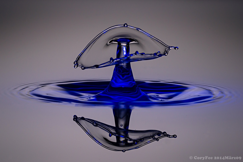 20120701 DSC 0305nf