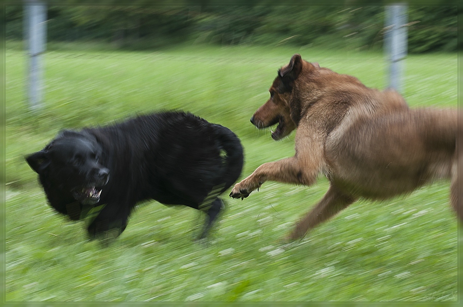 20120709 1942244 1 comp