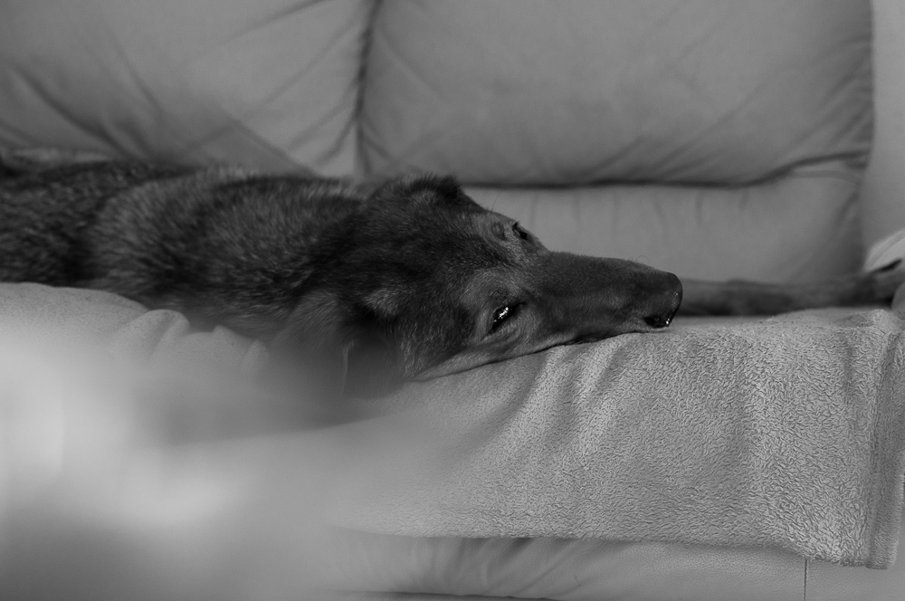 20120814 0192584 1