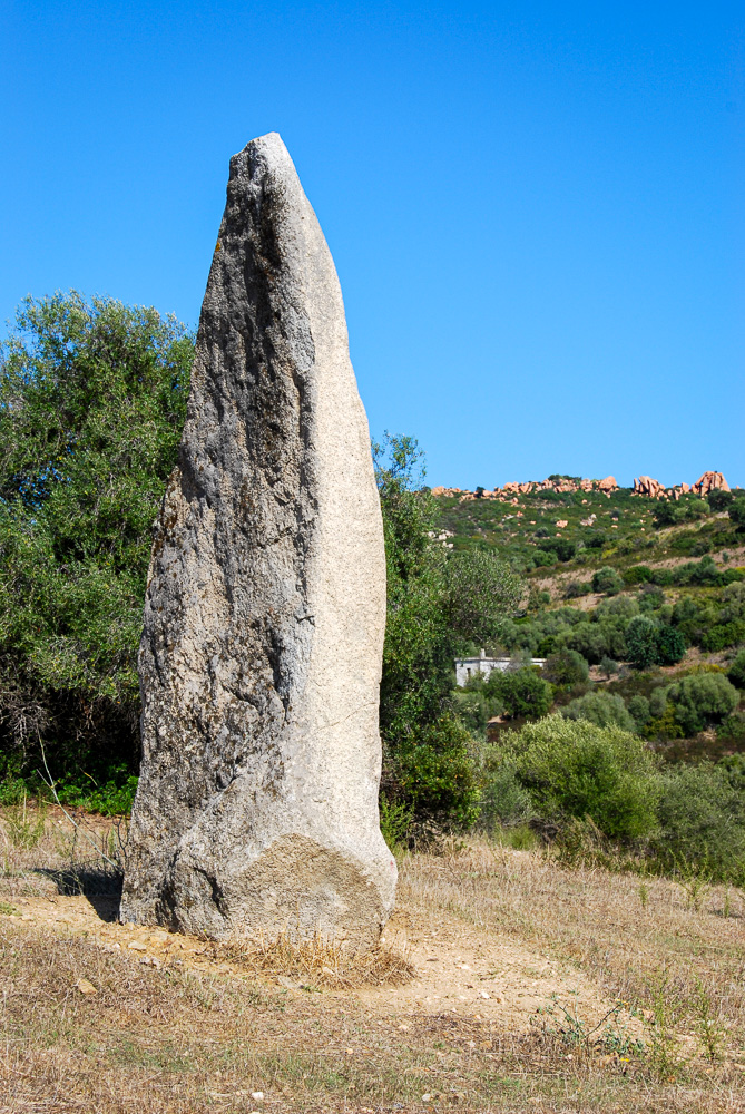 20121005-DSC_0191.jpg