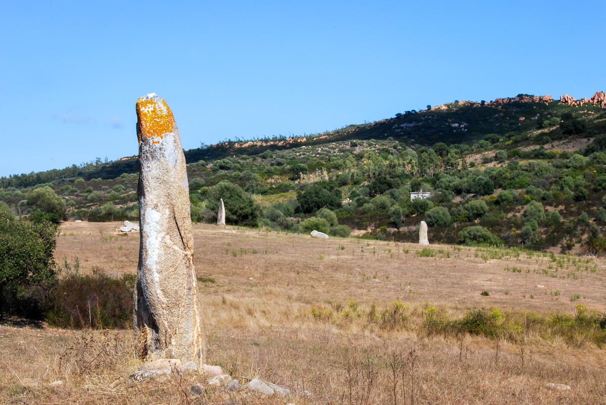 20121005-DSC_0203.jpg