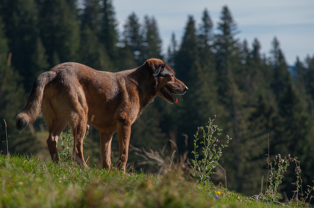 20121019 6253573 1