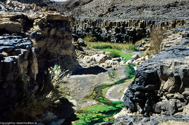 20121105  Algerien 010