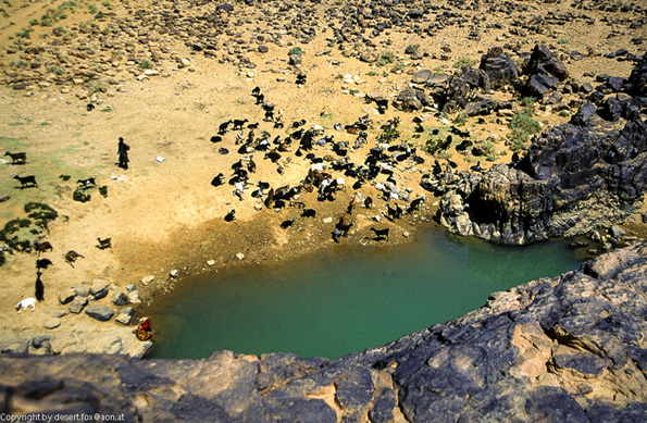 20121105  Algerien 026