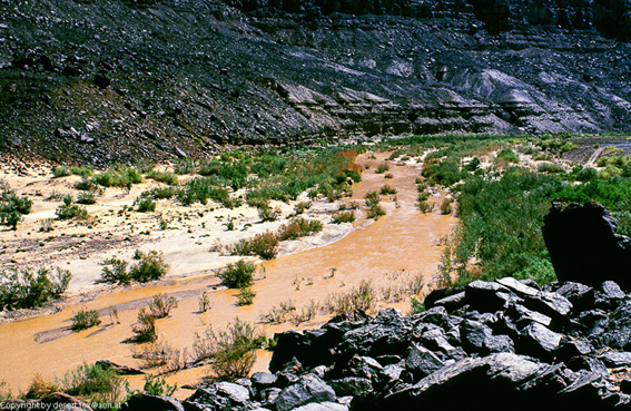 20121105  Algerien 043