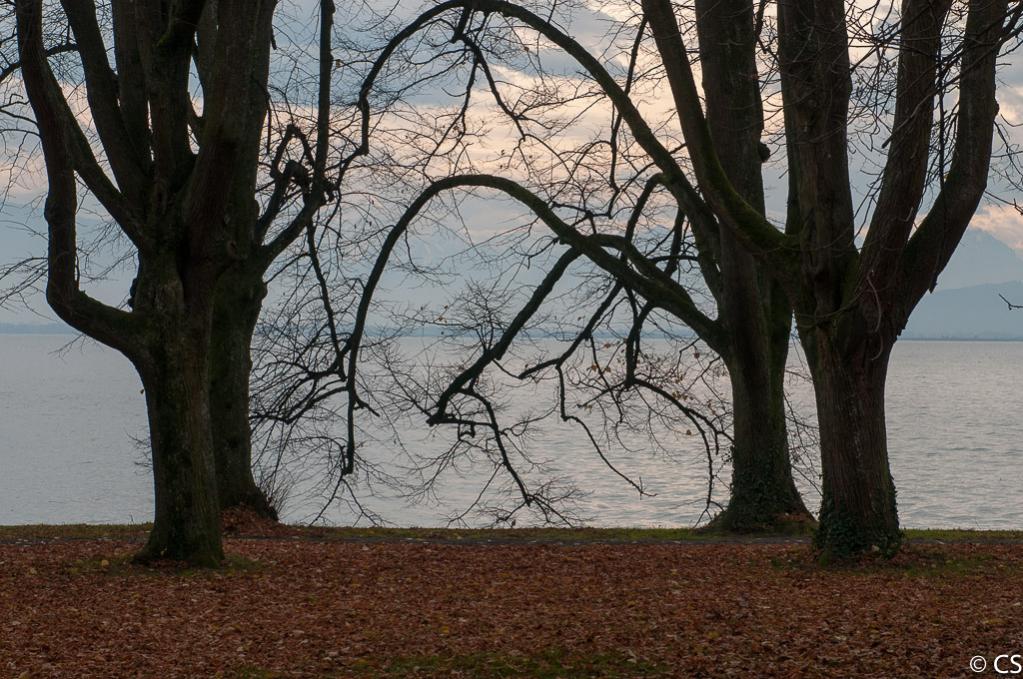 20121110 Lindenhofpark Bad Schachen 004