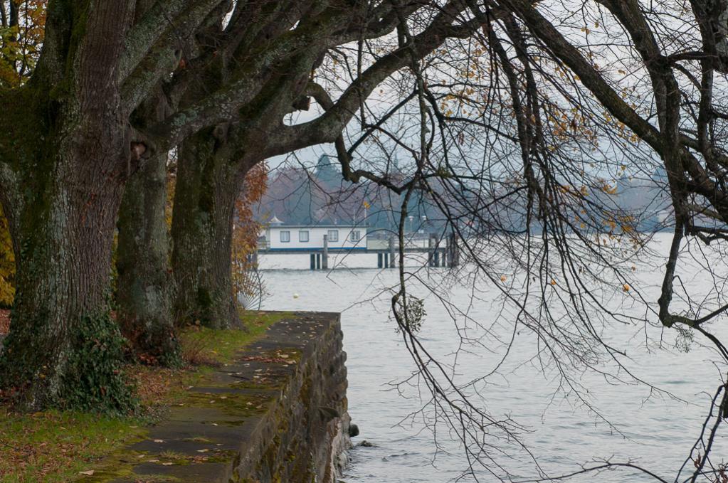20121110 Lindenhofpark Bad Schachen 007
