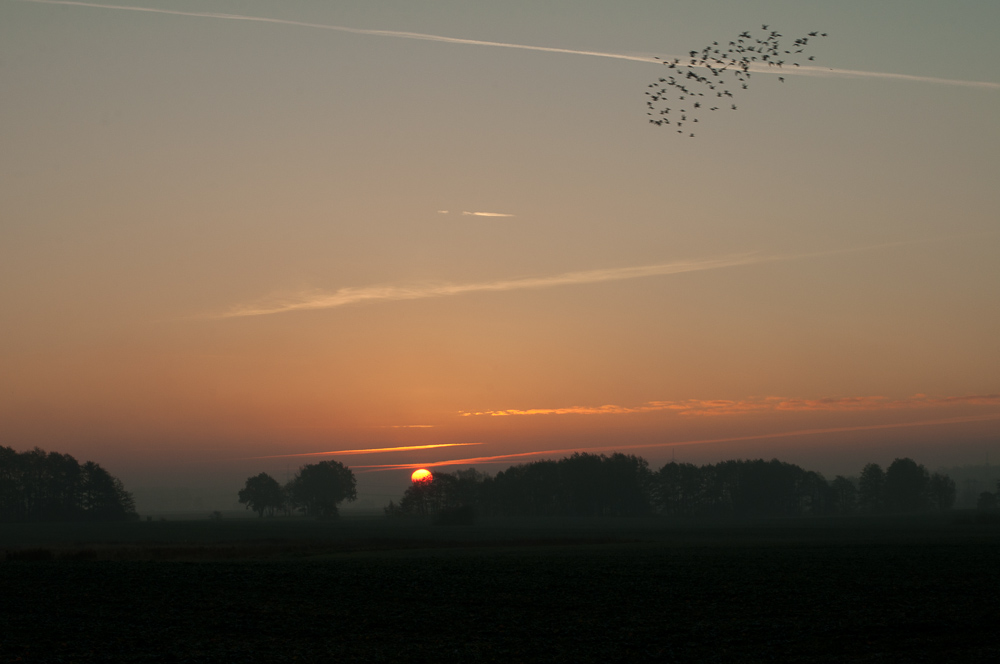 20121115  DSC2401
Irgendwann morgens, als ich die Kinder zur Schule brachte