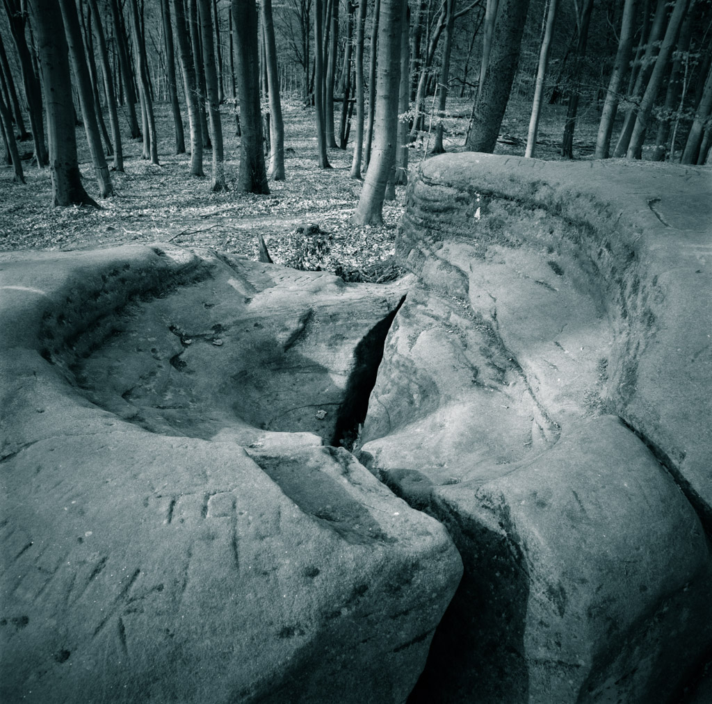 20121118 image007