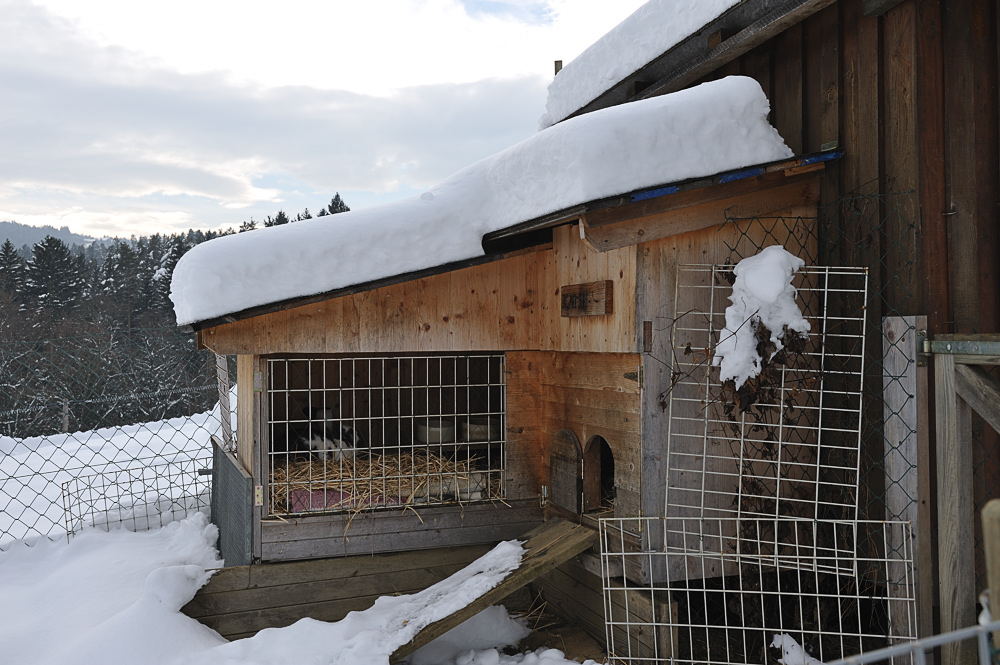 2013 01 20 13 33 39 Schnee 702 0375
