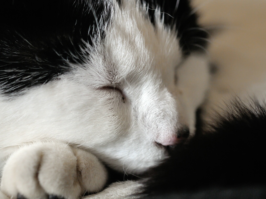 2013 04 20 5499 D 300S A