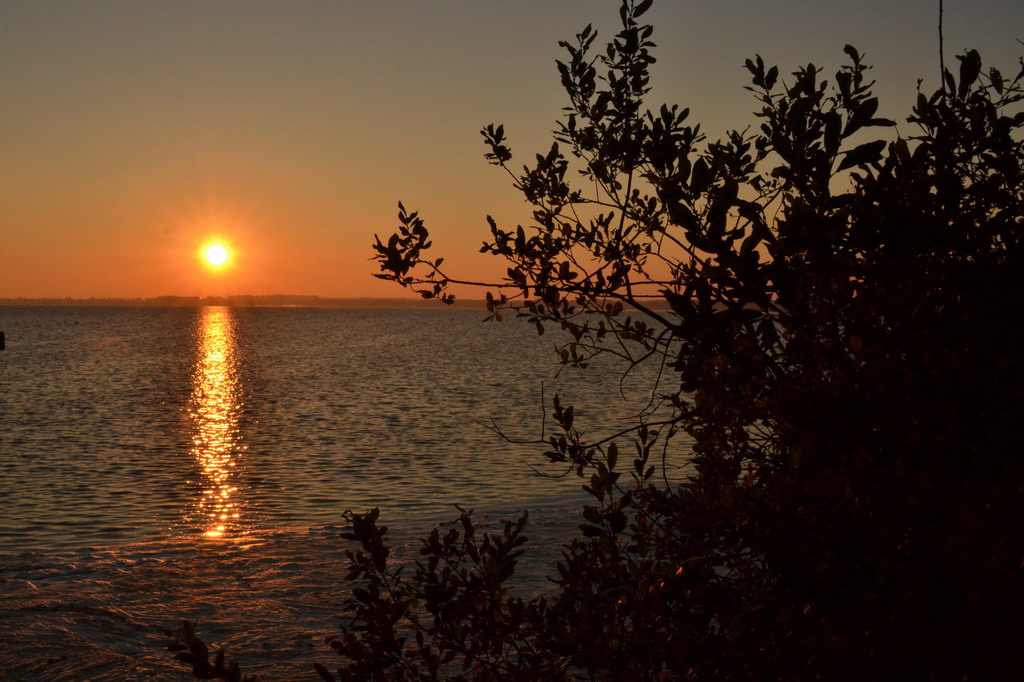 2013 10 02 Steinhuder Meer (1256)