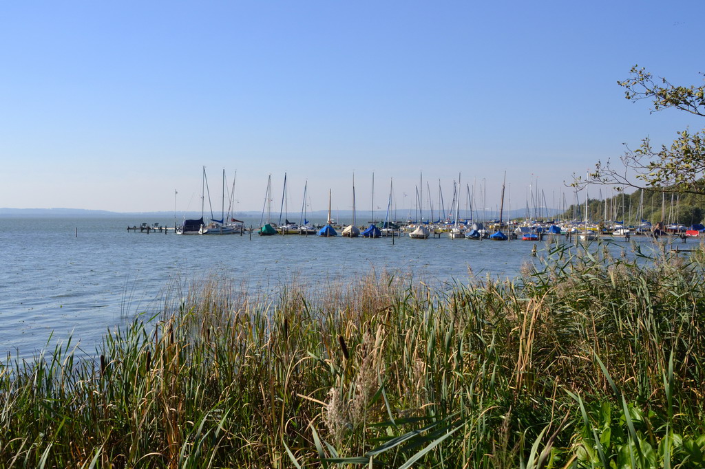 2013 10 02 Steinhuder Meer (1497)