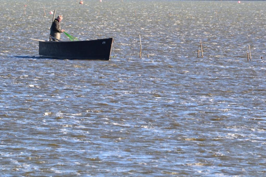 2013 10 02 Steinhuder Meer (1765)