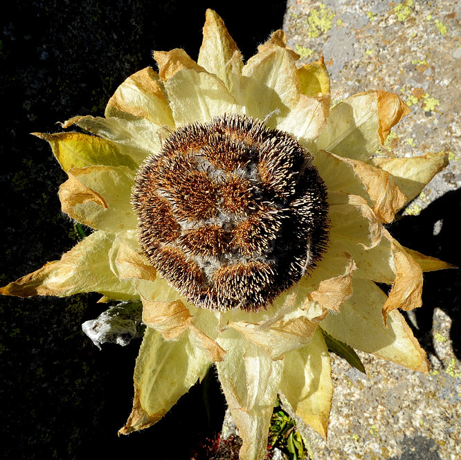2013 MGL 0879