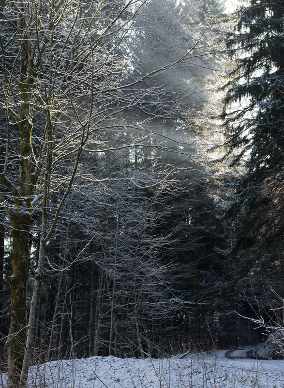 20130113 0004 Stille Bearbeitet