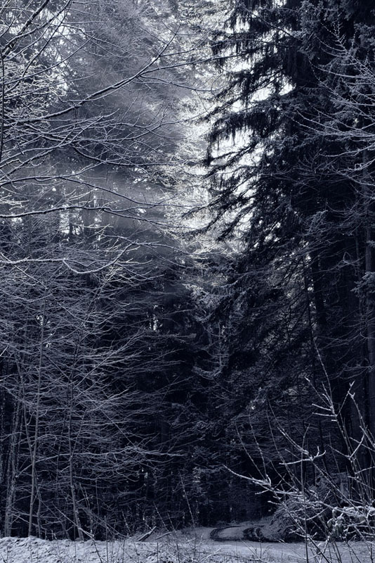 20130113 0004 Stille HF