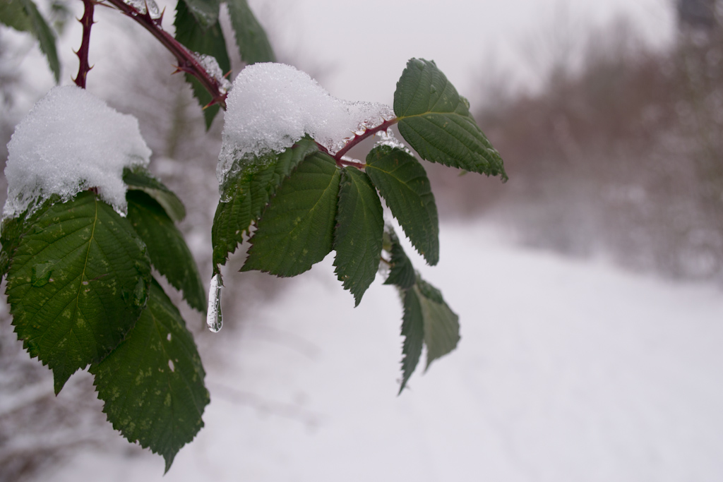 20130123 DSC 0068