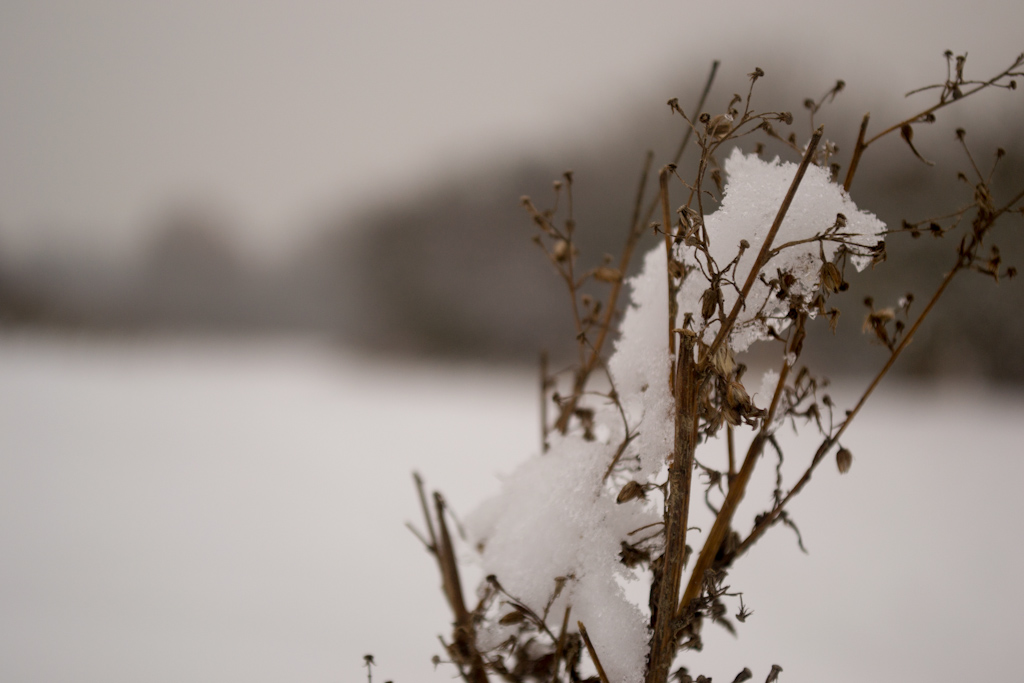 20130123 DSC 0084