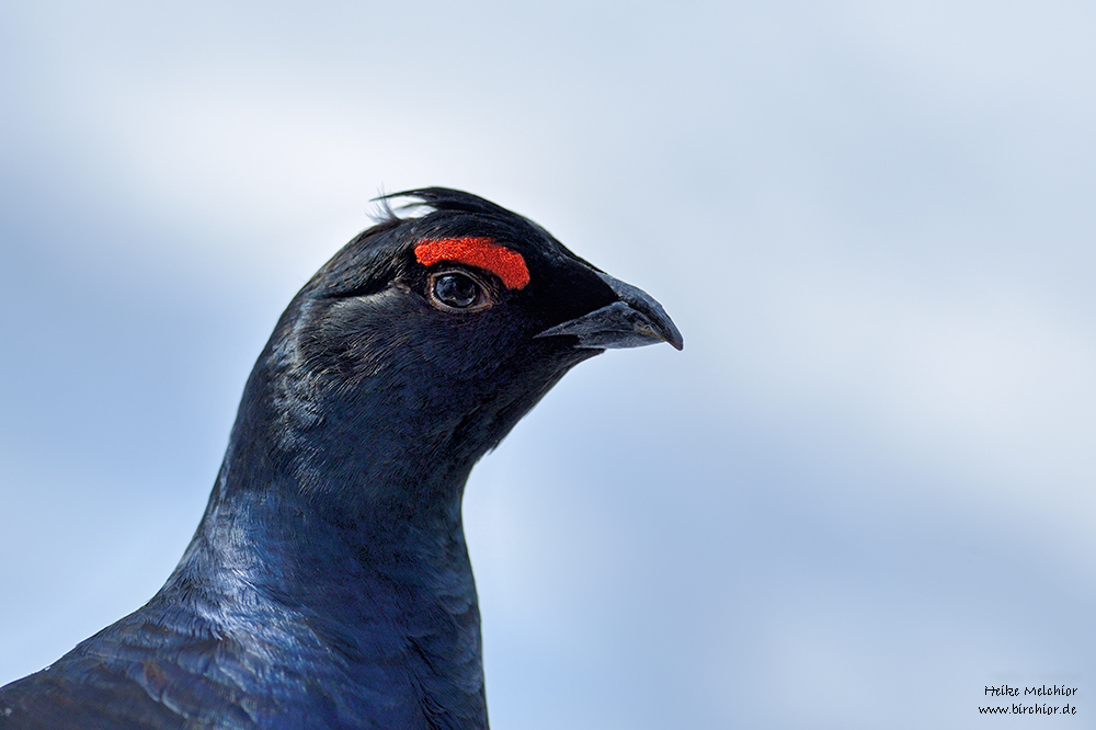 20130222 0288 NX 1000Px