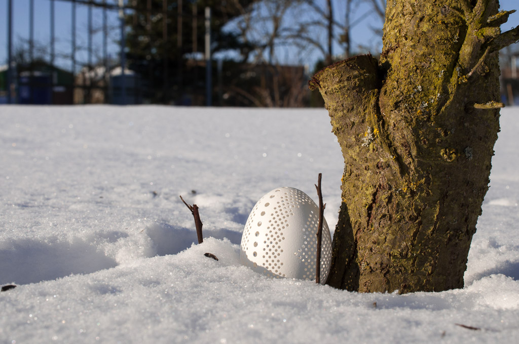 20130312  DSC1611