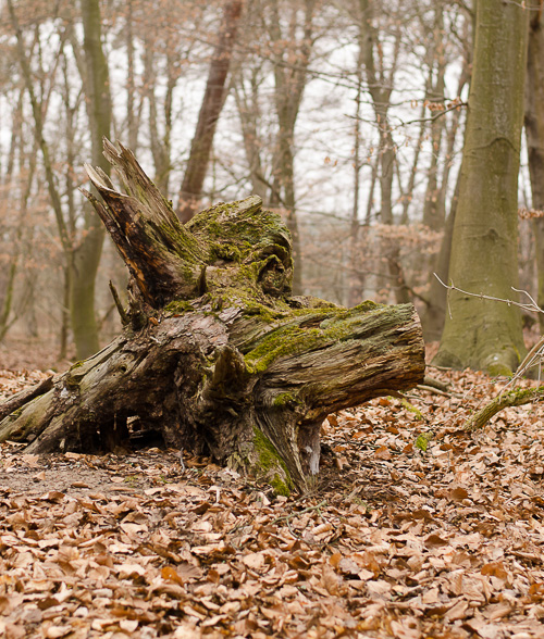 20130406 DSC 1896