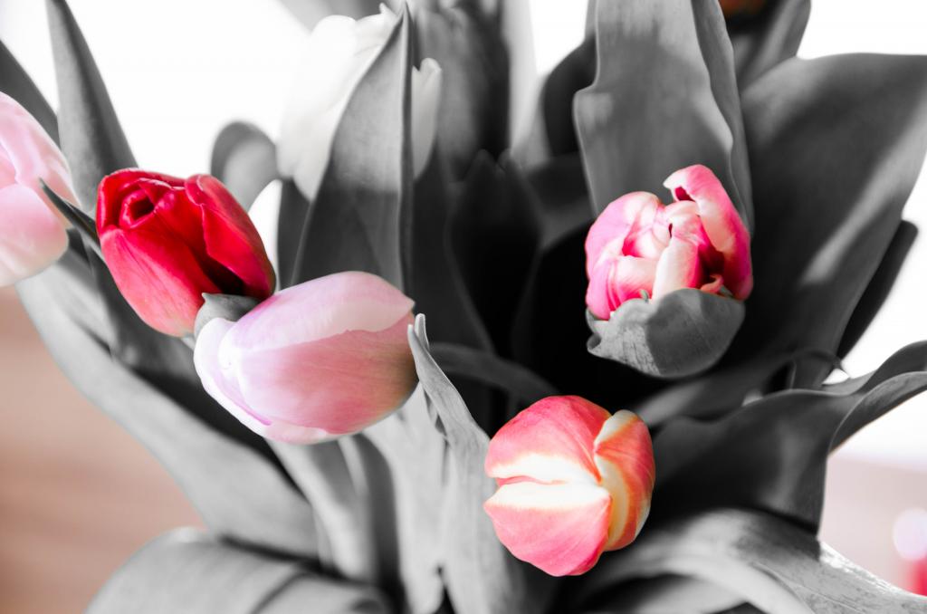 20130504 DSC 0179