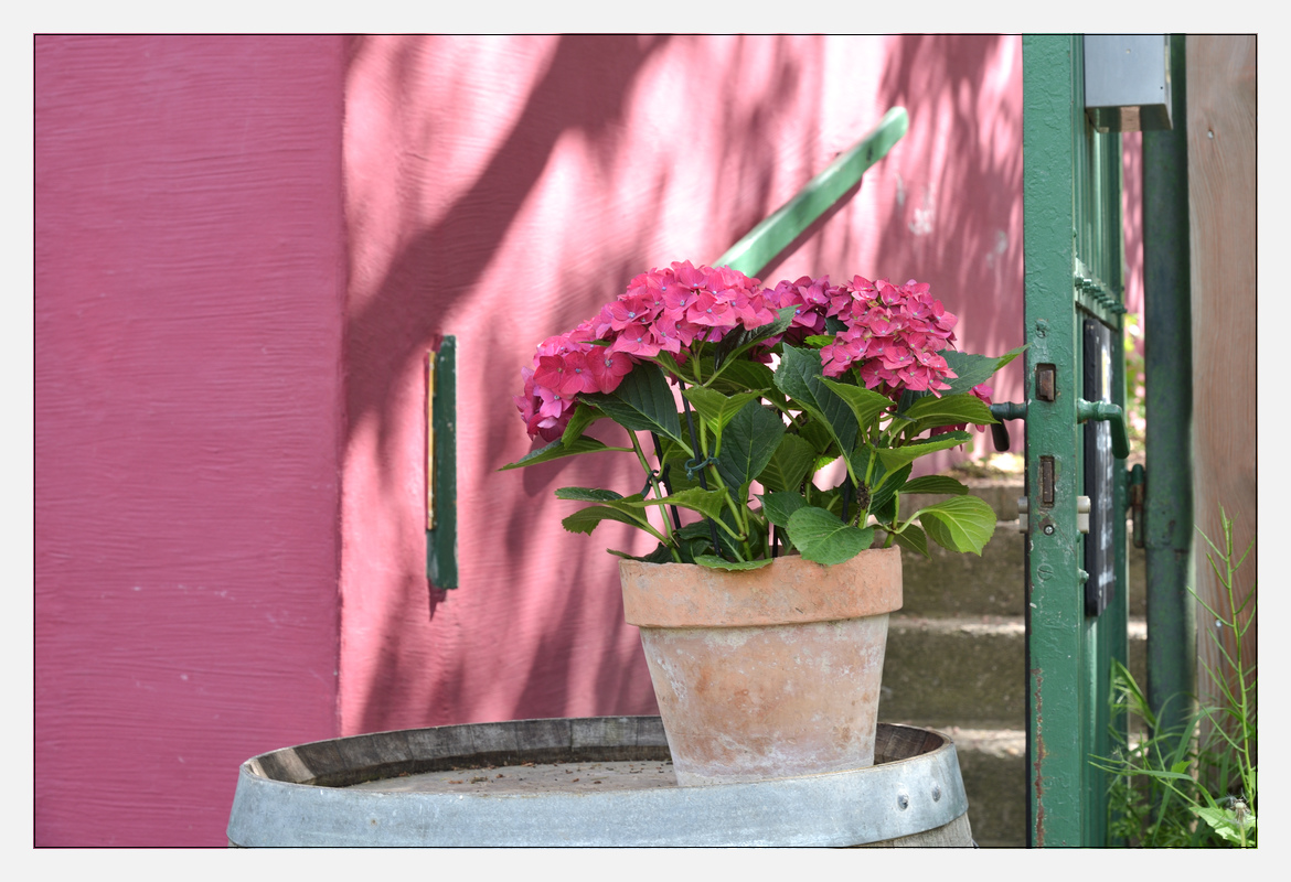 20130520 DSC 8297
