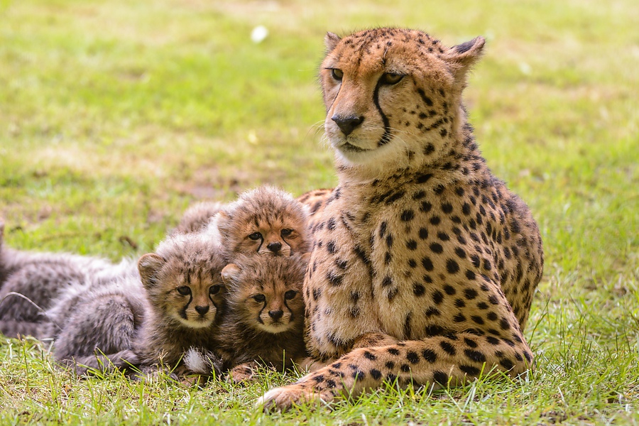 20130601 0534 [NIKON D7100] 200 mm,1 160 Sek. bei ƒ   4,5