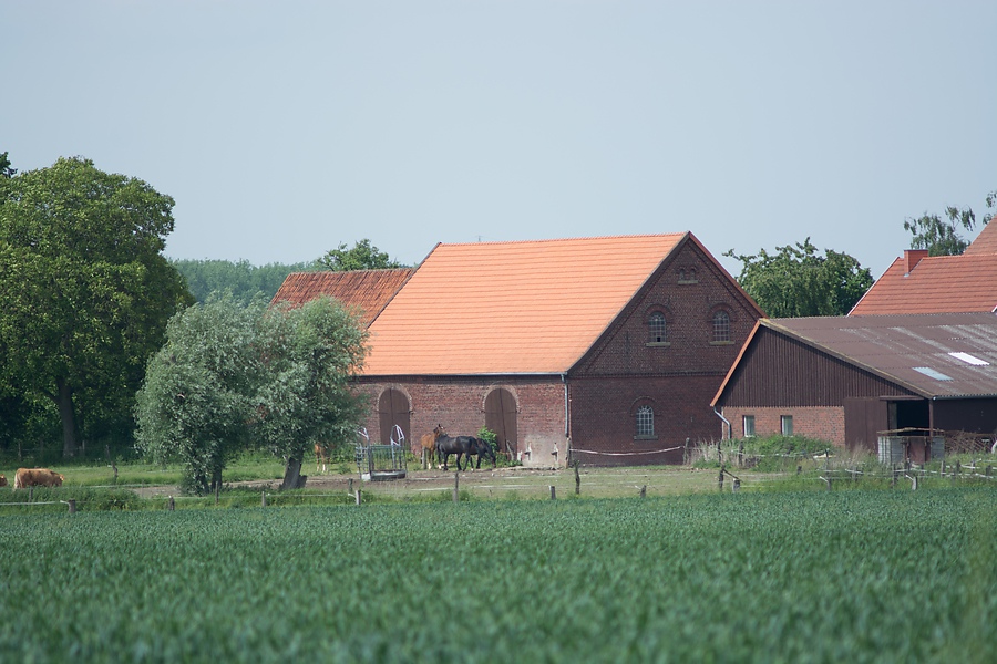 20130614 1581 [NIKON D7100] 200 mm,1 1000 Sek. bei ƒ   4,0 2