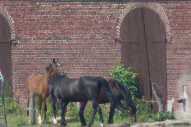 20130614 1581 [NIKON D7100] 200 mm,1 1000 Sek. bei ƒ   4,0