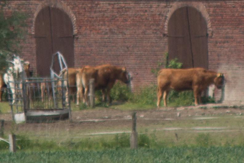20130614 1587 [NIKON D7100] 135 mm,1 2000 Sek. bei ƒ   2,8