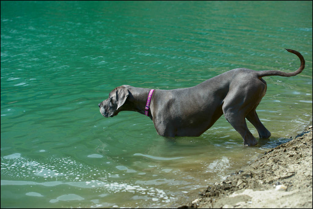20130616 0009