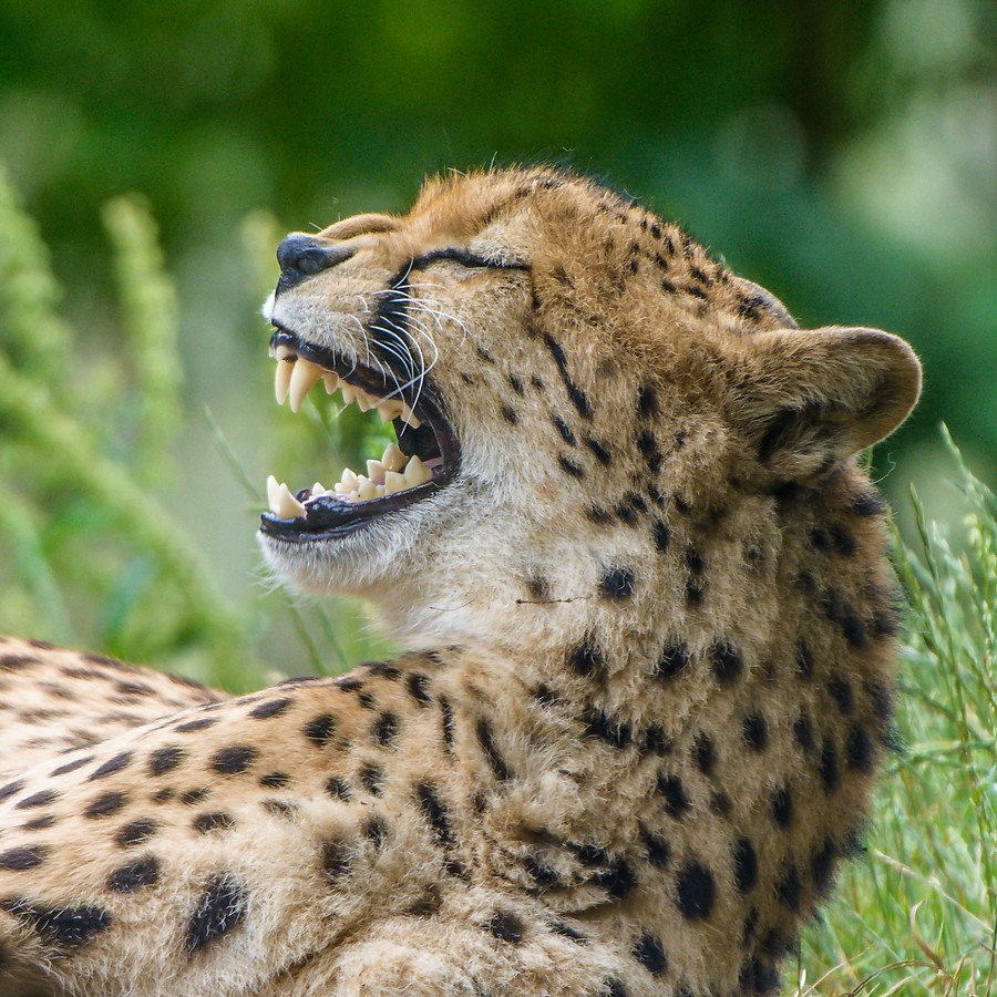20130622 2669 [NIKON D7100] 400 mm,1 320 Sek. bei ƒ   5,0