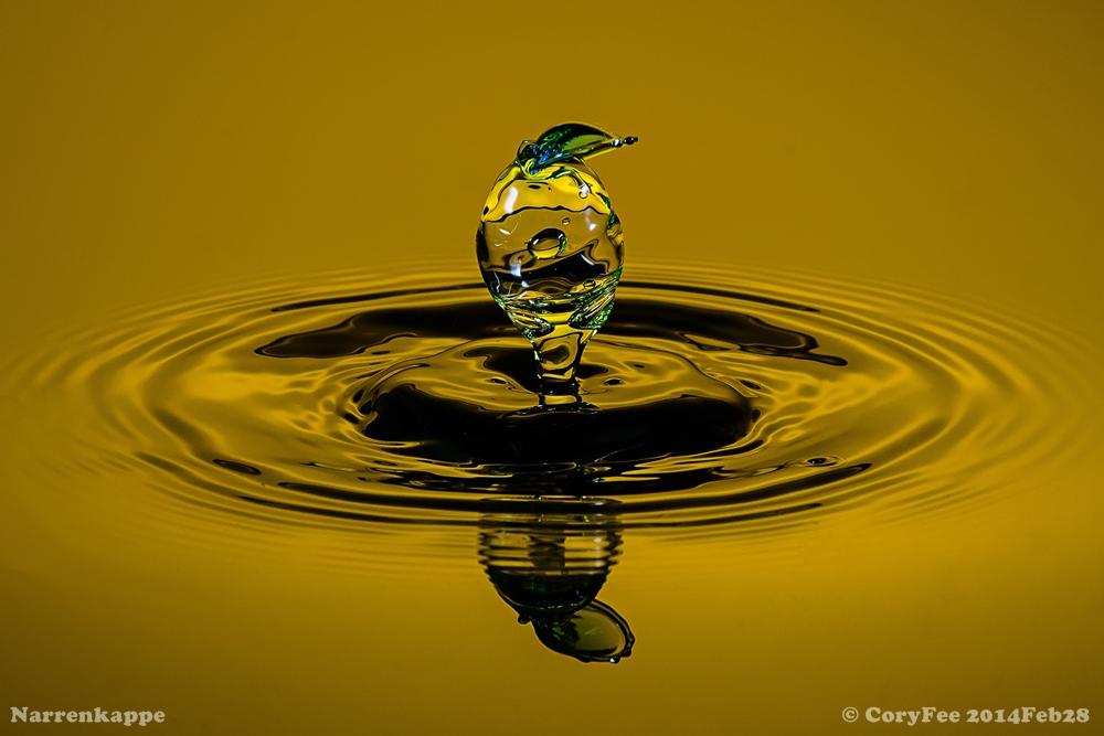 20130928 DSC 0129nf