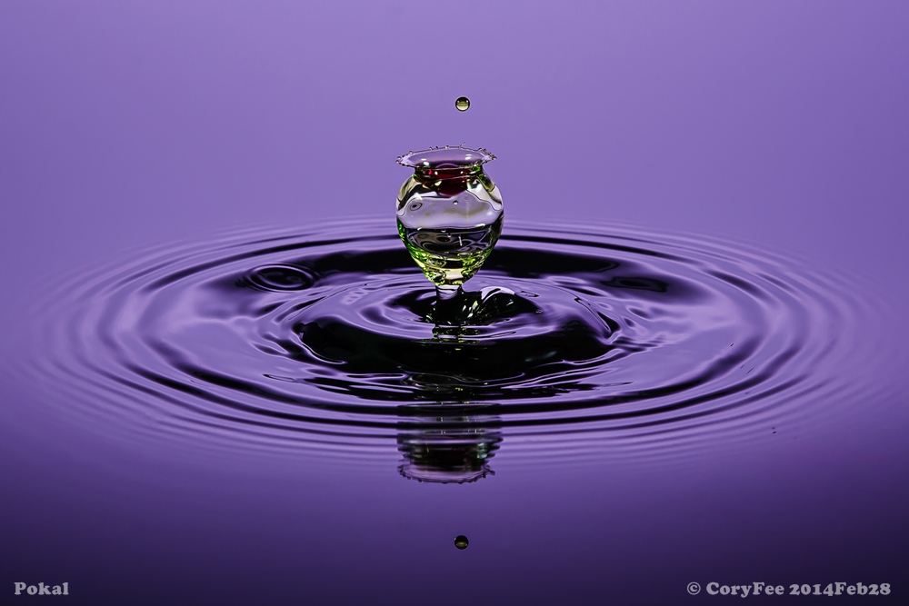 20130928 DSC 0207nf