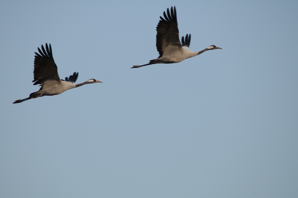20130930  HIG5557